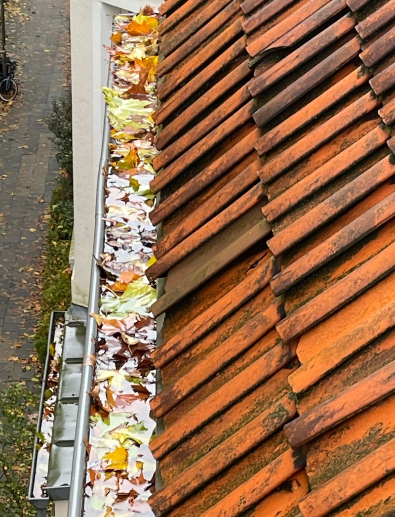 Dachrinnenreinigung Bochum vorher